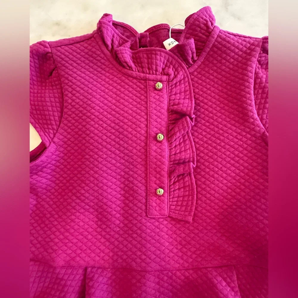 Janie and Jack Pink Fit and Flare Dress with Peter Pan Collar - Picture 2 of 4